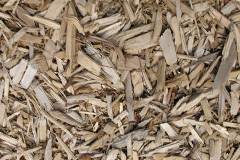 biomass boilers Aldwincle